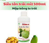 Phân gì giúp trái mít to, đẹp, không bị sâu đục?