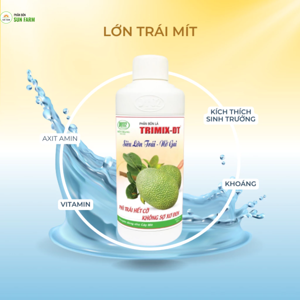 [mua 5 tặng 1] Siêu lớn trái nở gai mít Điền Trang 500ml lớn trái hộc đều ngừa sơ đen