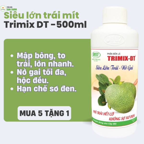 [mua 5 tặng 1] Siêu lớn trái nở gai mít Điền Trang 500ml lớn trái hộc đều ngừa sơ đen