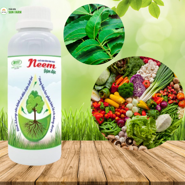 Dung dịch bám dính neem Điền Trang 500 ml