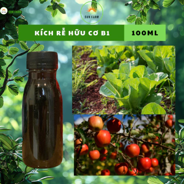 Chai chiết kích rễ B1 100ml kích rễ cực mạnh bổ sung humic vitamin b1