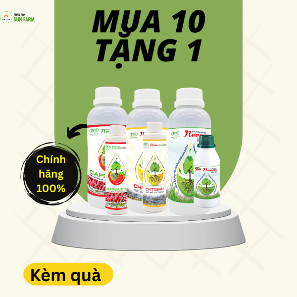 Các loại Neem Điền Trang neem oil, neem chito, chitosan, neem tỏi ớt