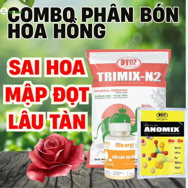 Combo phân bón hữu cơ 2.5kg + tạo mầm hoa 100g + phân trung vi lượng 100g dành cho hoa hồng sai hoa màu đẹp