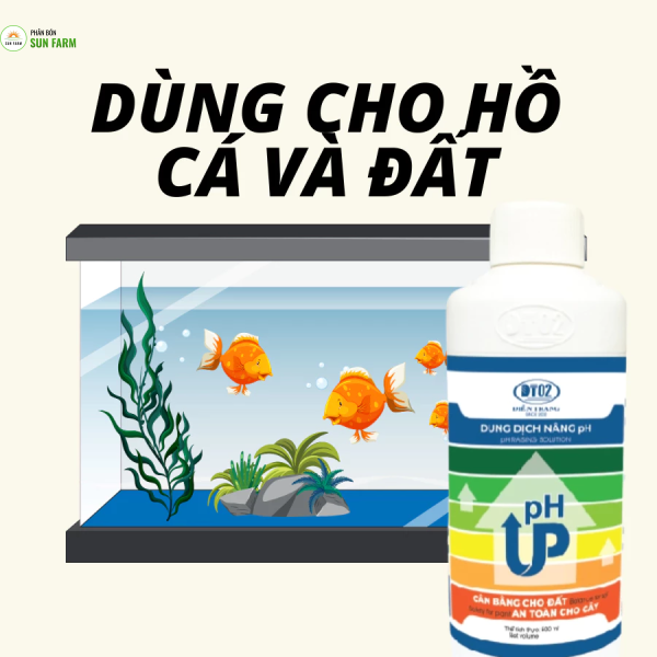 Dung dịch nâng PH hồ cá đất 500ml