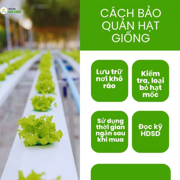 1 kg giá thể vỏ đậu phộng trồng lan, hoa, cây cảnh, rau ăn lá