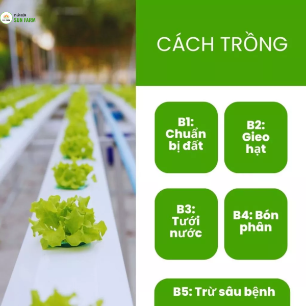 1 kg giá thể vỏ đậu phộng trồng lan, hoa, cây cảnh, rau ăn lá