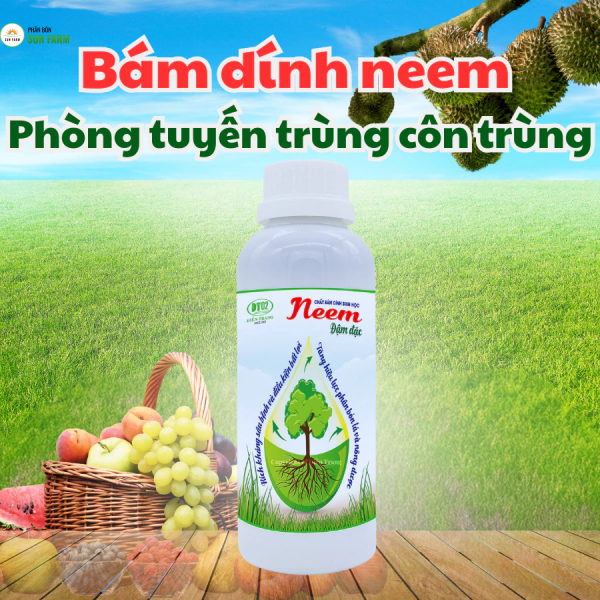 Dung dịch bám dính neem Điền Trang 500 ml