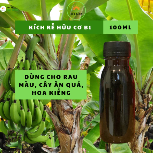 Chai chiết kích rễ B1 100ml kích rễ cực mạnh bổ sung humic vitamin b1