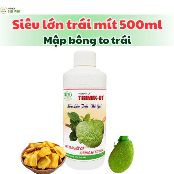 [mua 5 tặng 1] Siêu lớn trái nở gai mít Điền Trang 500ml lớn trái hộc đều ngừa sơ đen
